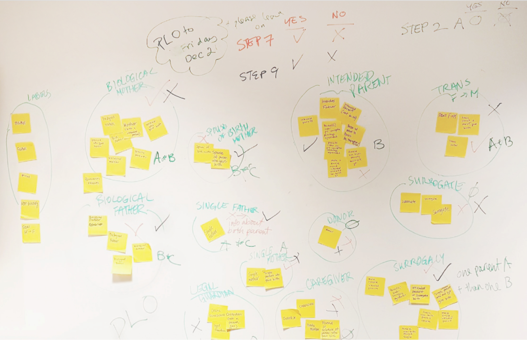 Whiteboard session of different parents that may go through the Newborn Registration system.